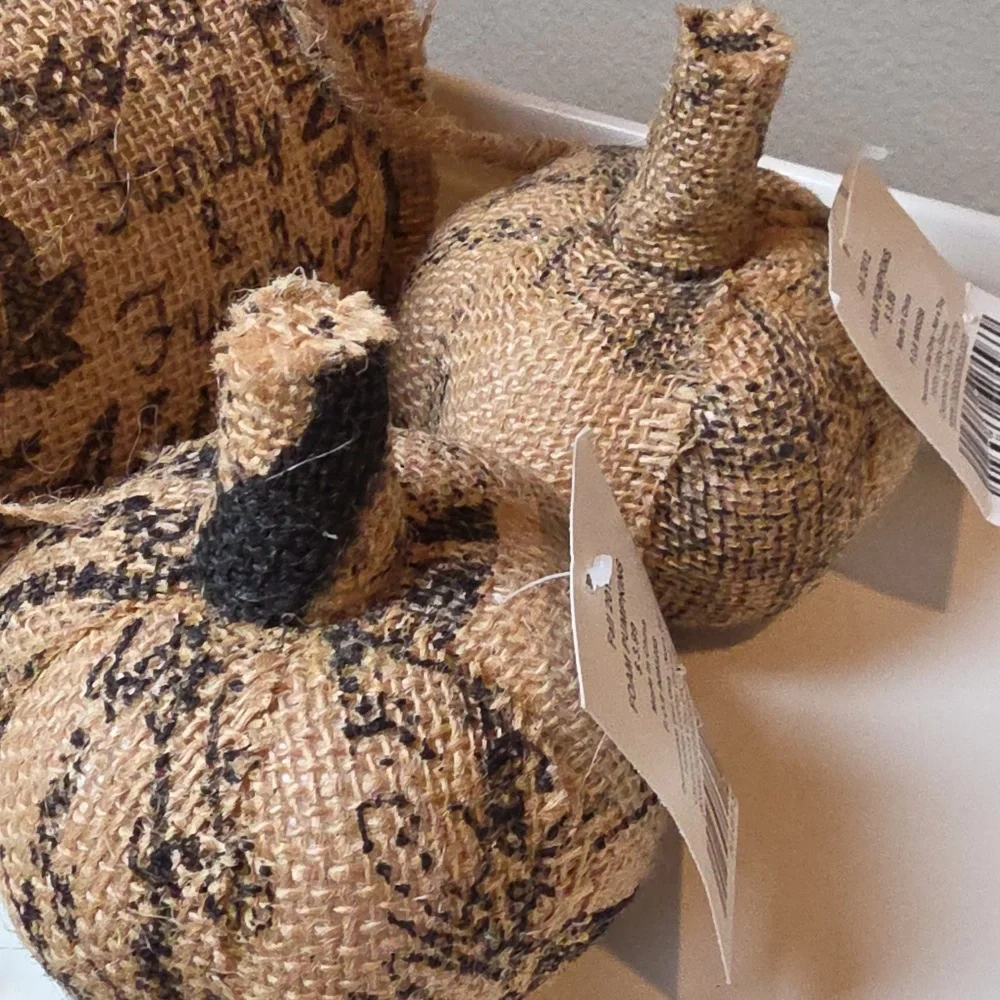 Nwt Rustic Burlap Graphic Pumpkins 3 Pc Set Words Harvest Autumn Family Friends